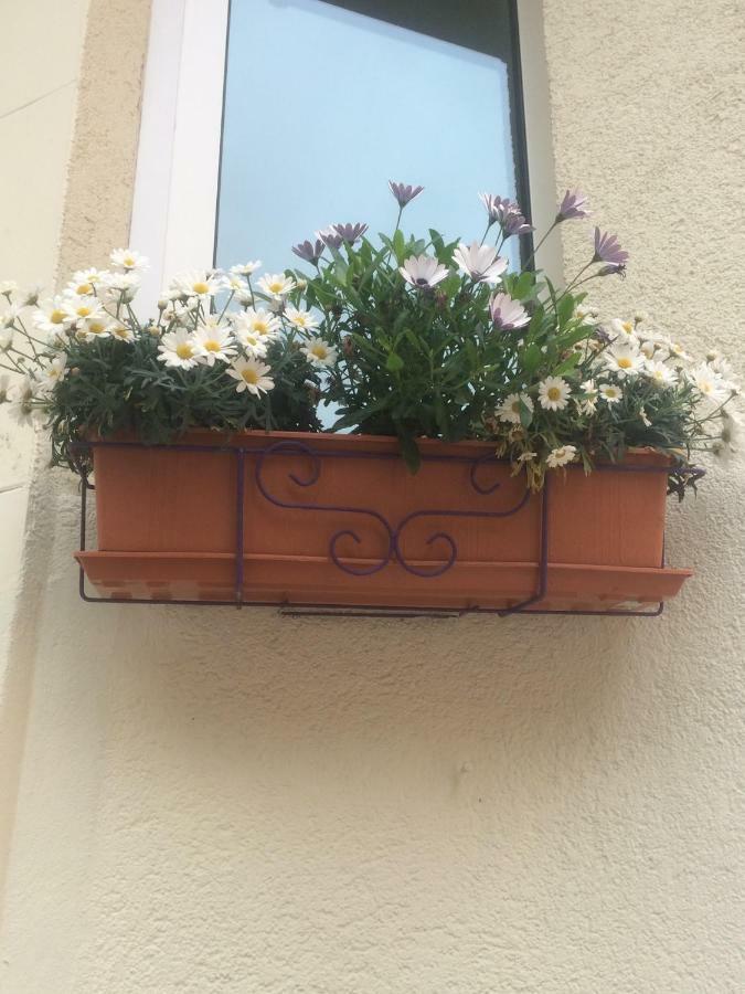 Simple Room In Luxembourg City Ngoại thất bức ảnh